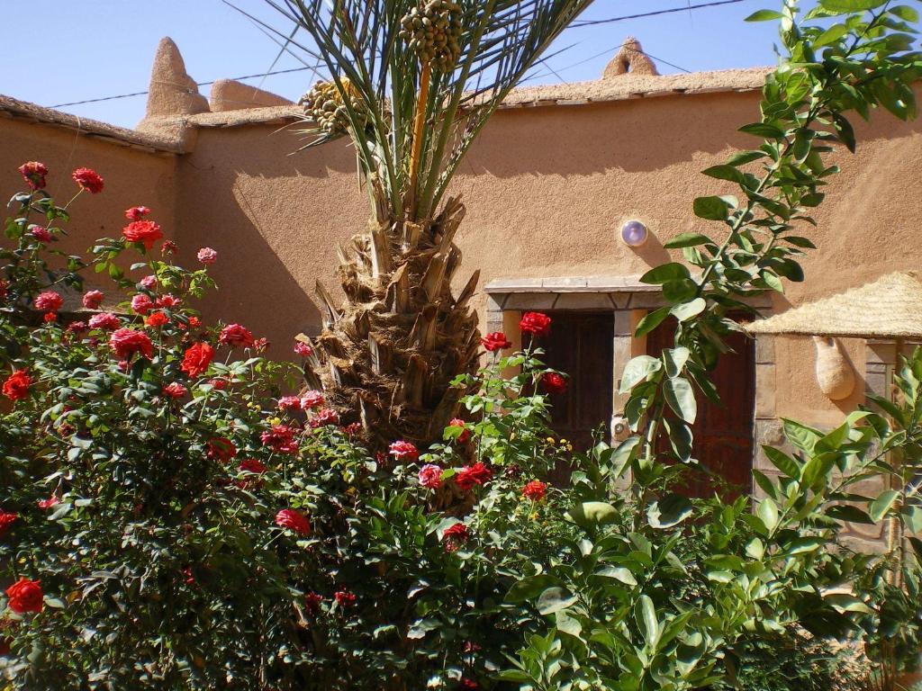 Maison D' Hotes Ait Hmid Nkob Εξωτερικό φωτογραφία