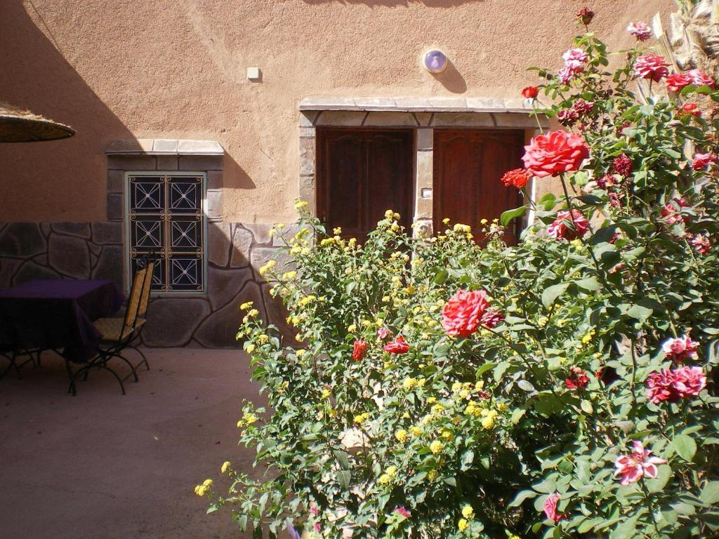 Maison D' Hotes Ait Hmid Nkob Εξωτερικό φωτογραφία