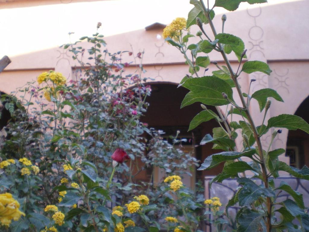 Maison D' Hotes Ait Hmid Nkob Εξωτερικό φωτογραφία