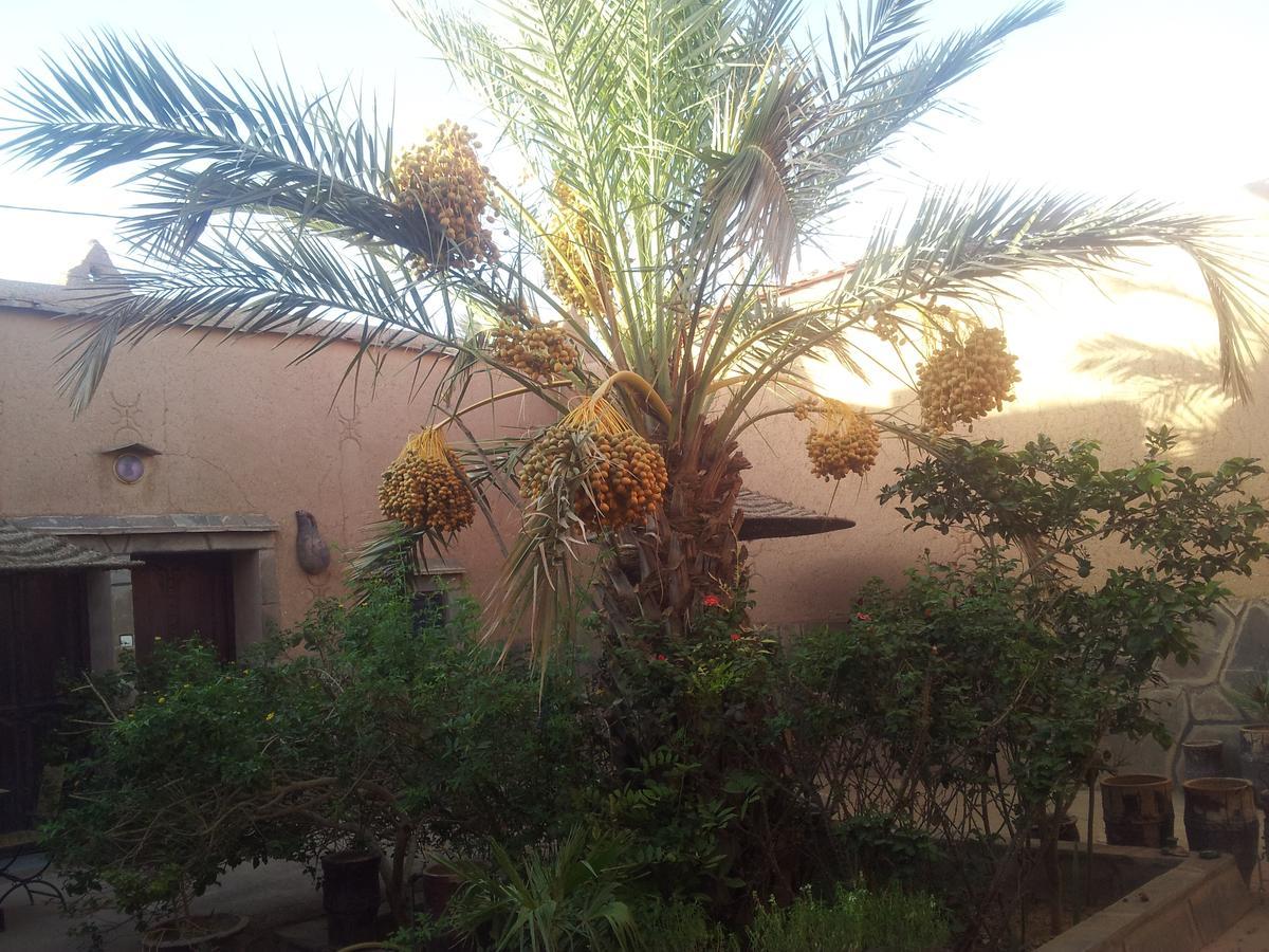Maison D' Hotes Ait Hmid Nkob Εξωτερικό φωτογραφία